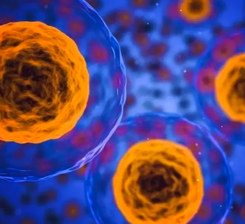 Senolytic Therapy in Dubai at Lifespan Clinic