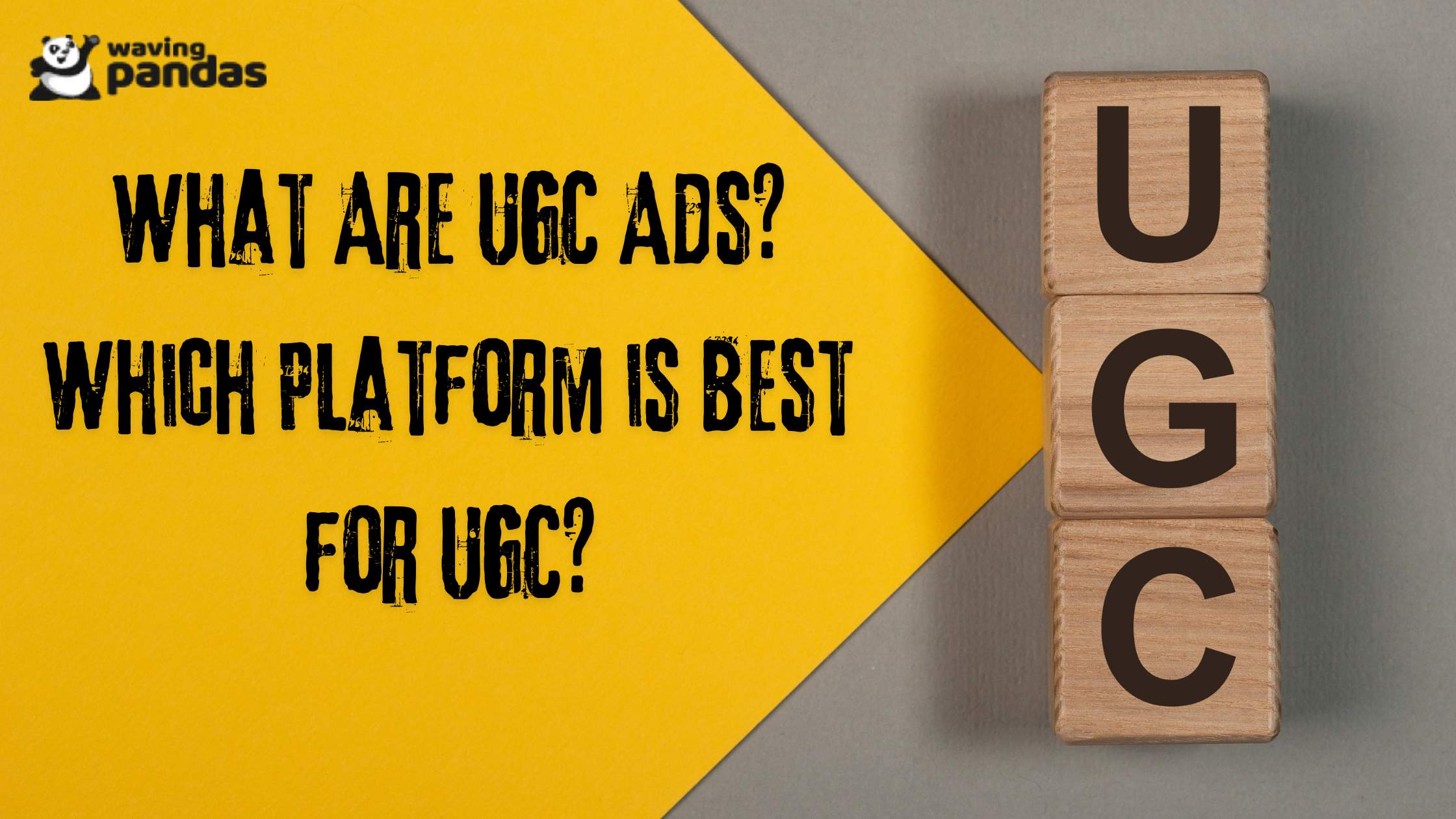 What Are UGC Ads? Which Platform is Best for UGC?