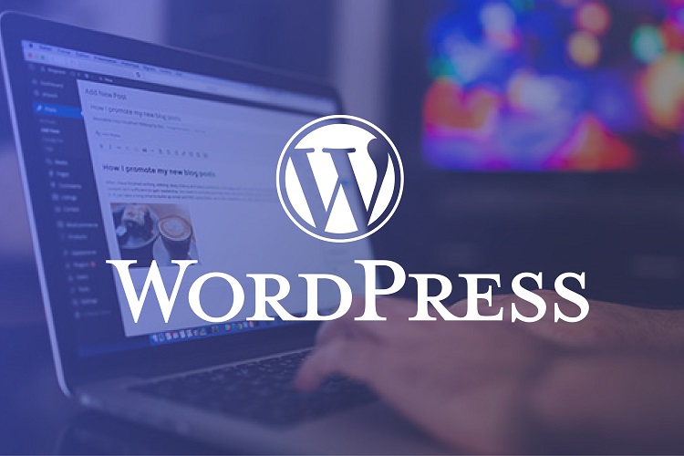 WordPress Course in Ahmedabad - Learn Website Development | ELDI