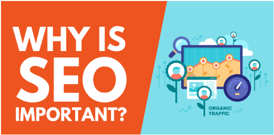 Why is SEO Important for Your Website? – Web Brain InfoTech