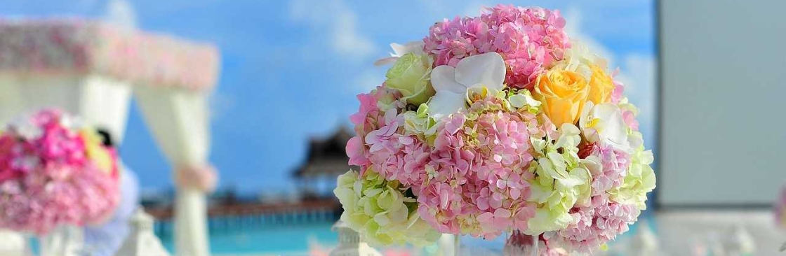 The Little Laneway Cover Image