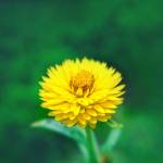 john smith6801 Profile Picture