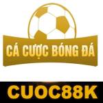 info cacuocbongda Profile Picture
