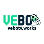 Vebotv Works Profile Picture