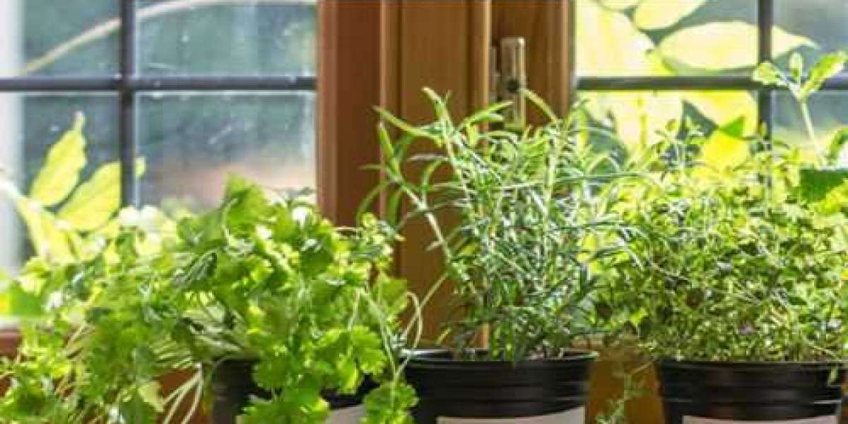 The Ultimate Guide to Indoor Vegetable Gardening for Beginners