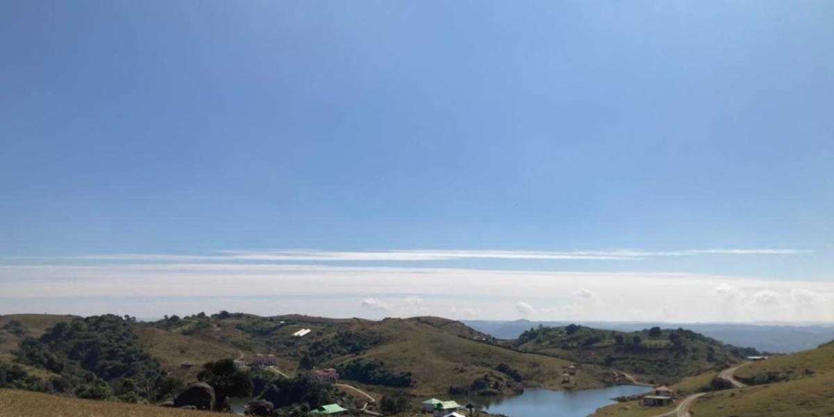 Exploring the Enchanting Beauty of Meghalaya: Top Places to Visit in 2024