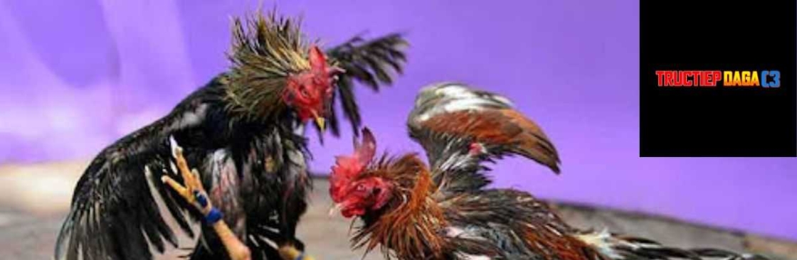 Trực tiếp đá gà C3 Cover Image