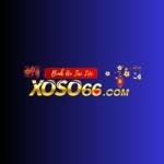 Xoso66 Stream Profile Picture