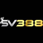 sv388 Profile Picture