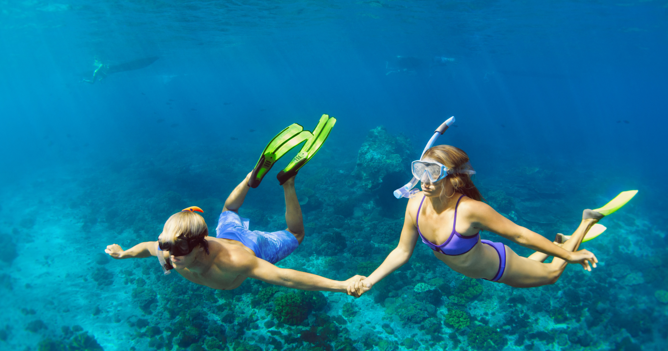 Snorkel vs. Dive: Differences Between Snorkeling & Scuba Diving - Spirit Liveaboards
