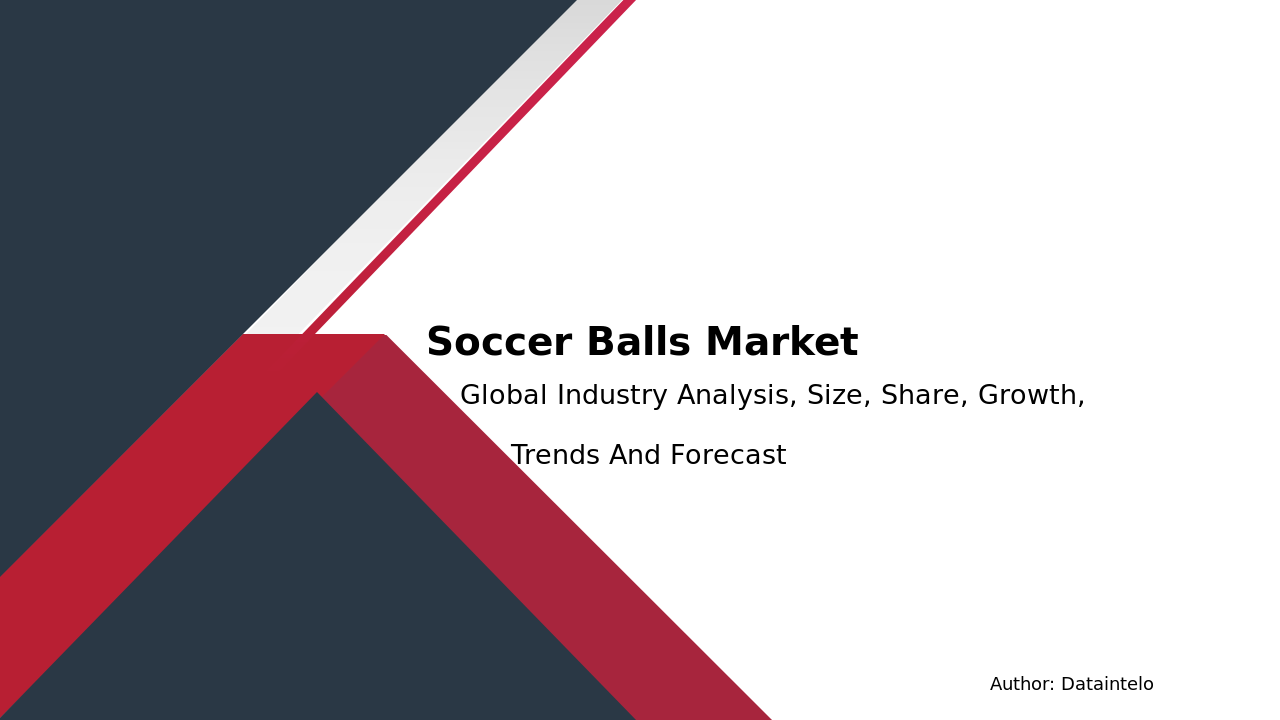 Soccer Balls Market Report | Global Forecast From 2024 To 2032