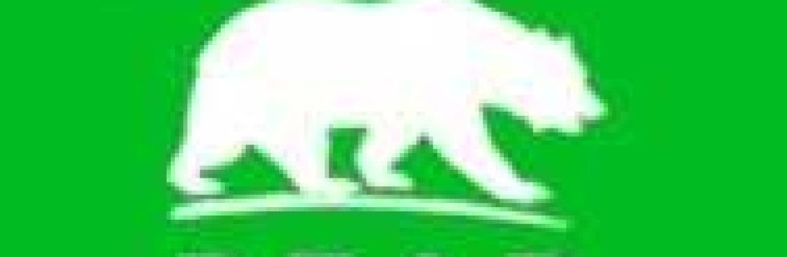 Premier Alaska Polar and Grizzly Bear Viewing Tours Cover Image