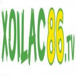 Xoilac TV Profile Picture