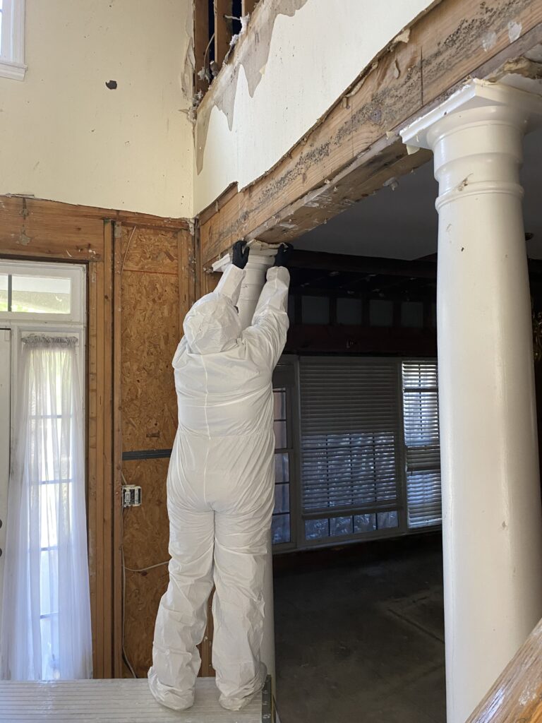 Mold Damage Restoration Services in Atlanta | Paces Restoration