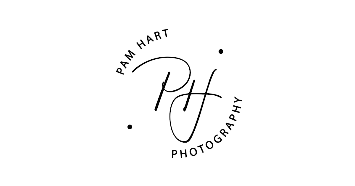 Brisbane Pet Photographer | Pam Hart Photography