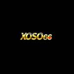 XO66 net Profile Picture