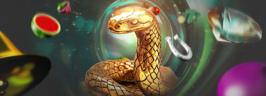 BET365 ngo Cover Image