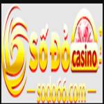 sodo66acvn Profile Picture