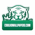 K8CC Profile Picture