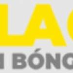 ericschneiderman com  fake website Profile Picture