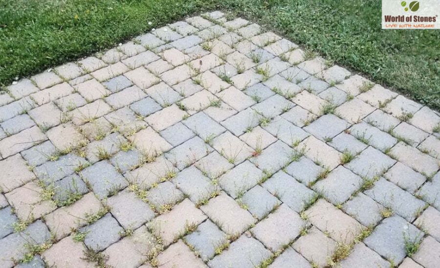 5 Ways to Prevent Weed Growth Between Paving Stones