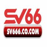 Sv66 Profile Picture