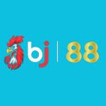 BJ 88 Profile Picture