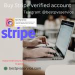 Mark Disalvo Profile Picture