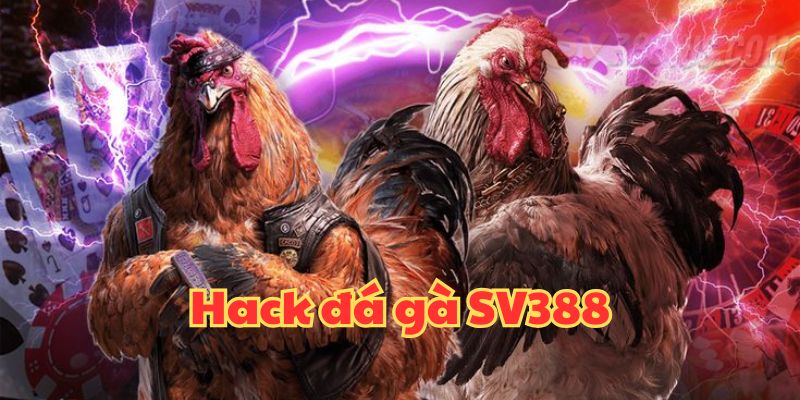 Hack Đá gà SV388 Có Thật Không? Rủi Ro Khi Sử Dụng Là gì?