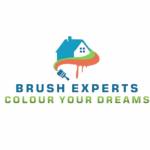 brush experts Profile Picture
