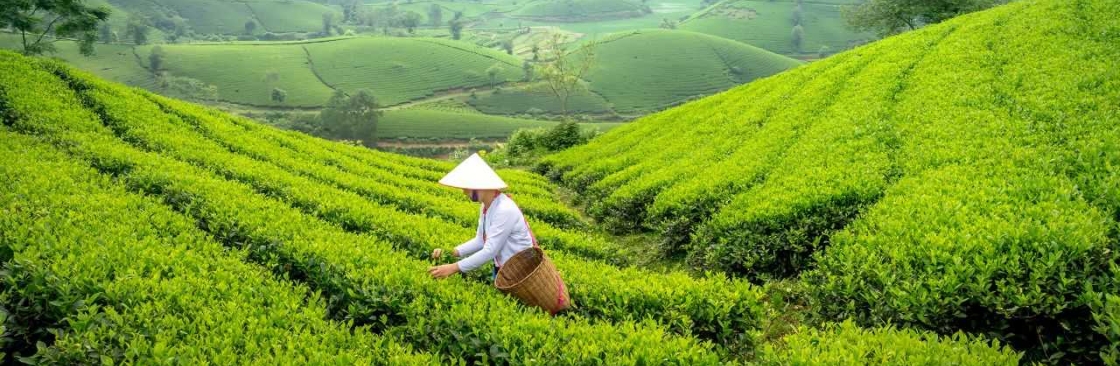 Trip to farm Cover Image