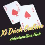 Xi Dach Online Profile Picture