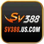 SV388 com Profile Picture