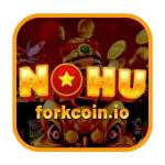Nohu90 Forkcoin Profile Picture