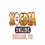 Xóc Đĩa Online Sân Chơi Cá Cược Đỉnh Cao Profile Picture