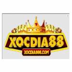 Xocdia88 6com Profile Picture