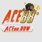 ace88 Profile Picture