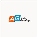 AG 百家乐 Profile Picture