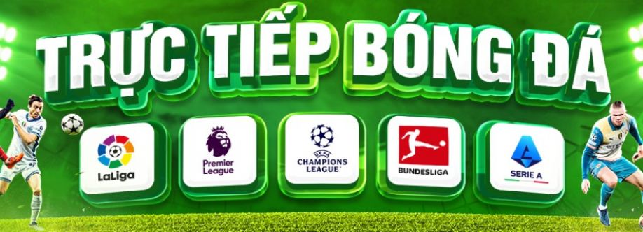 Mollysmovementcom Die web Cover Image