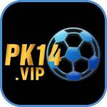 pk14 vip Profile Picture