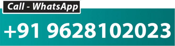 Service Wala – Professional Services Company