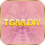 TG88 Profile Picture