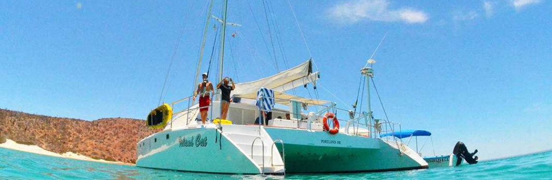 bajawhale shark Cover Image