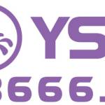 YSB66 Link Vào Mới Nhất 2025 Cổng Game Hoàng Gia VIP Profile Picture