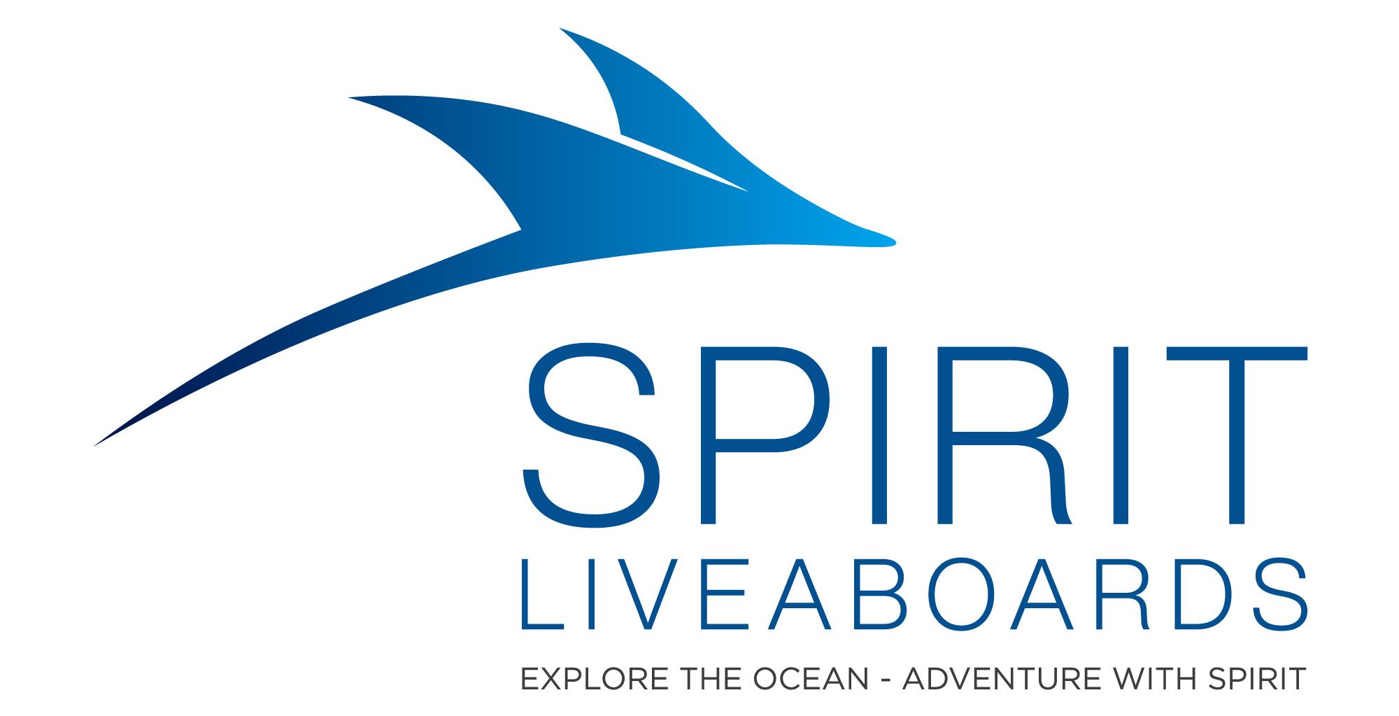 Snorkeling & Free Diving Tours in the Maldives - Spirit Liveaboards