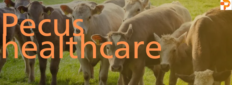 Veterinary Company in India