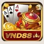 Vnd88 com Profile Picture