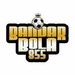 bandarbola855 Profile Picture