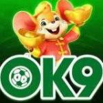 ok9ok9net Profile Picture