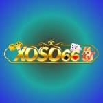Xoso66 Casino Profile Picture